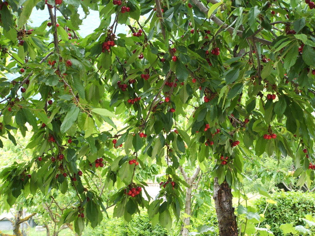مبيت وإفطار Navelli Abruzzo Segreto المظهر الخارجي الصورة